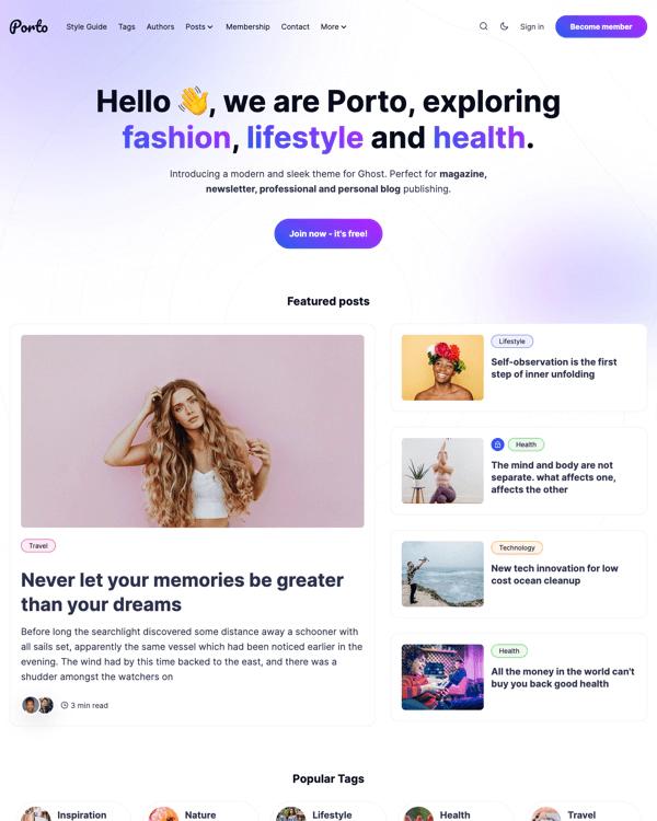 Meet Porto Theme